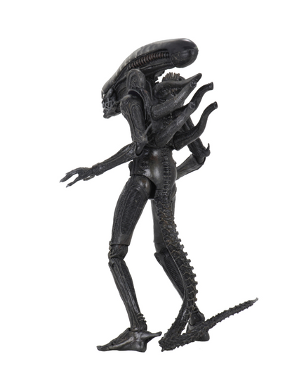 (NECA) Alien – 7″ Scale Action Figure – Ultimate 40th Anniversary Big Chap
