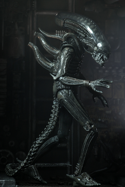 (NECA) Alien – 7″ Scale Action Figure – Ultimate 40th Anniversary Big Chap