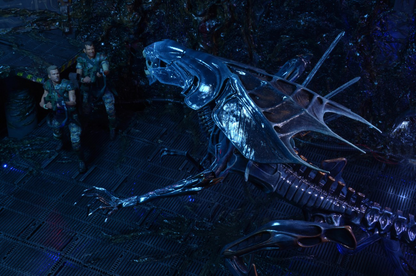 (NECA) Aliens - Ultra Deluxe Boxed Figure - Alien Queen