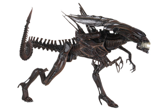 (NECA) Aliens - Ultra Deluxe Boxed Figure - Alien Resurrection Queen